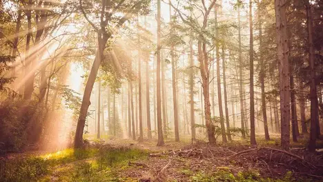 魔域99周年庆典火热开启！耀阳系列圣器震撼登场，全新副本时光回廊开放，周年专属礼包及圣器获取方式详解-米兰电竞